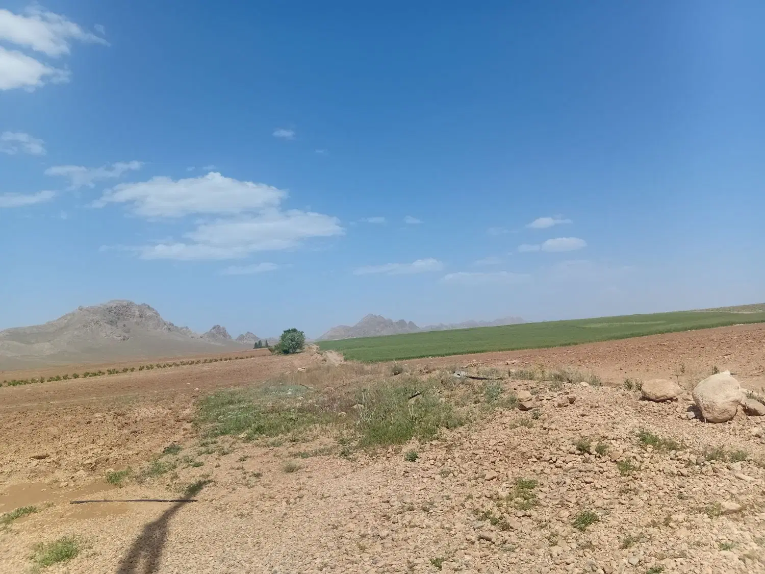 فروش زمین شهرک ولیعصر