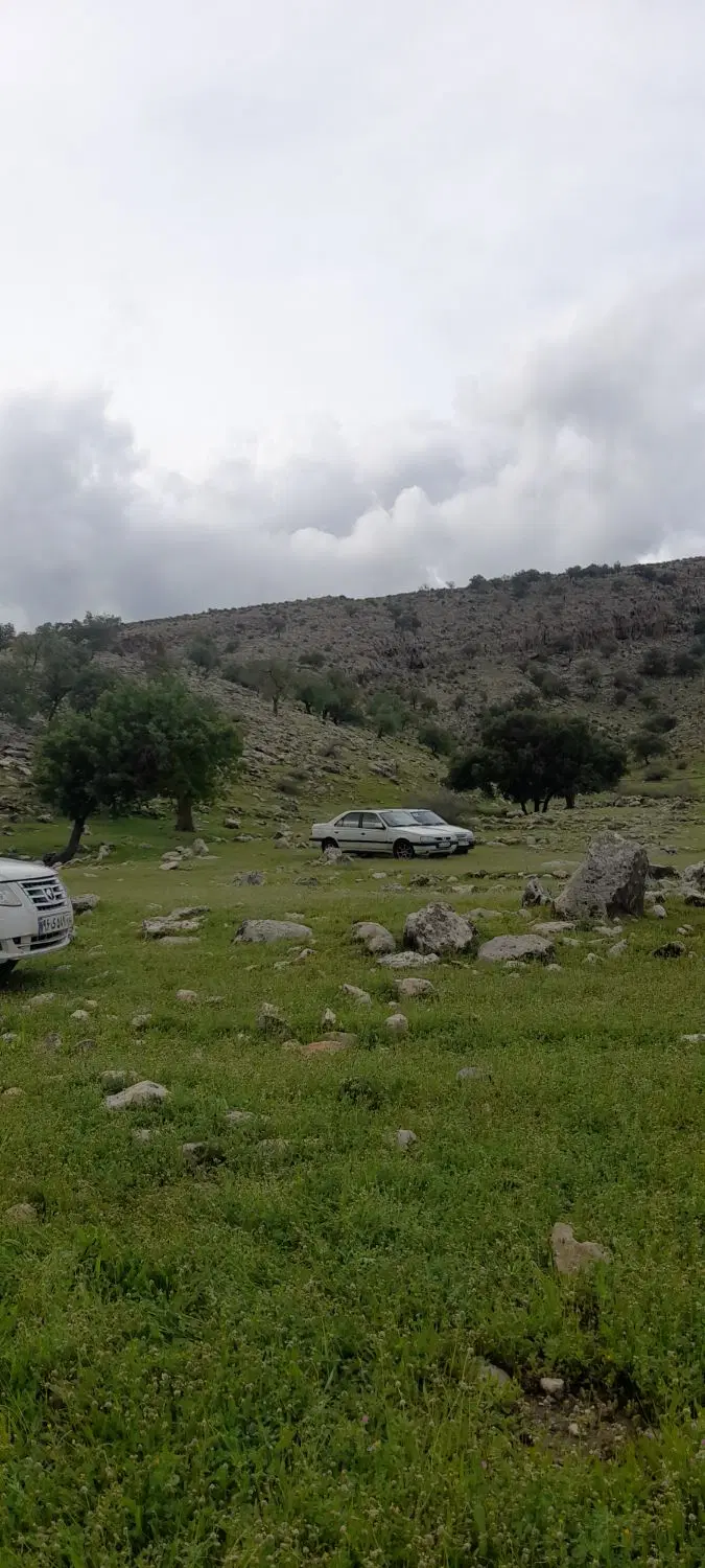 فروش یا معاوضه باغ ۵ هکتاری