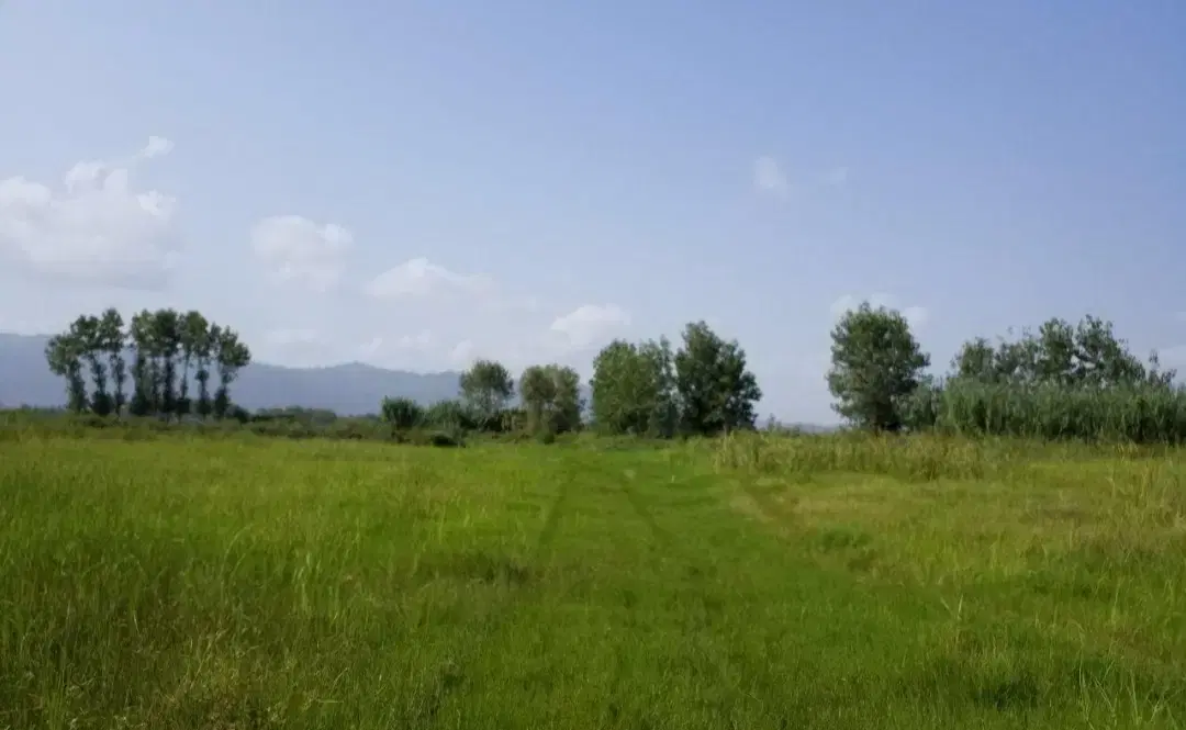 فروش زمین برای سوله کارگاه کارخانه گلخانه