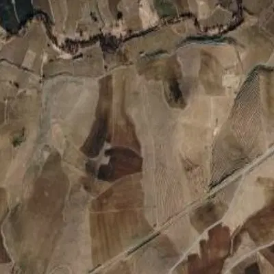 زمین کشاورزی