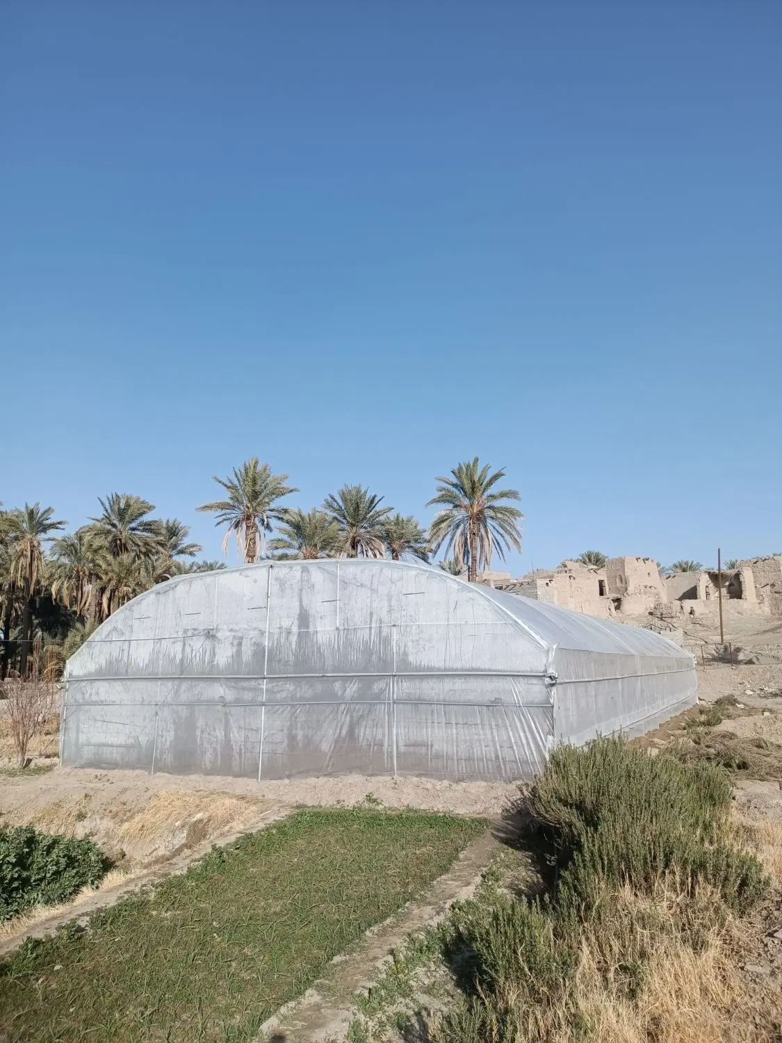 فروش گلخانه