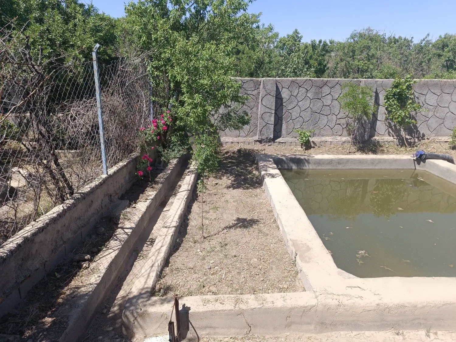 زمین باغی فروشی روستا ملکی