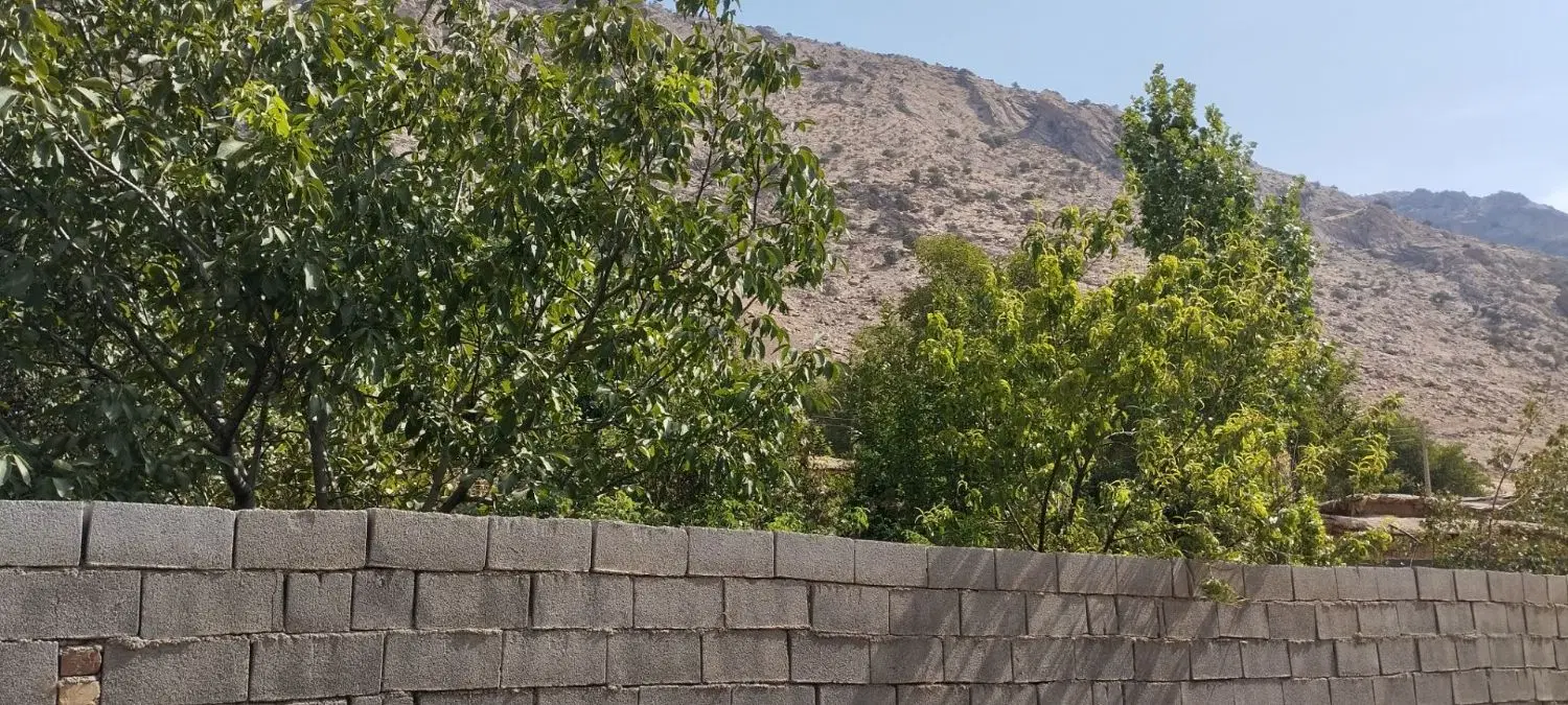 زمین مسکونی (باغچه)