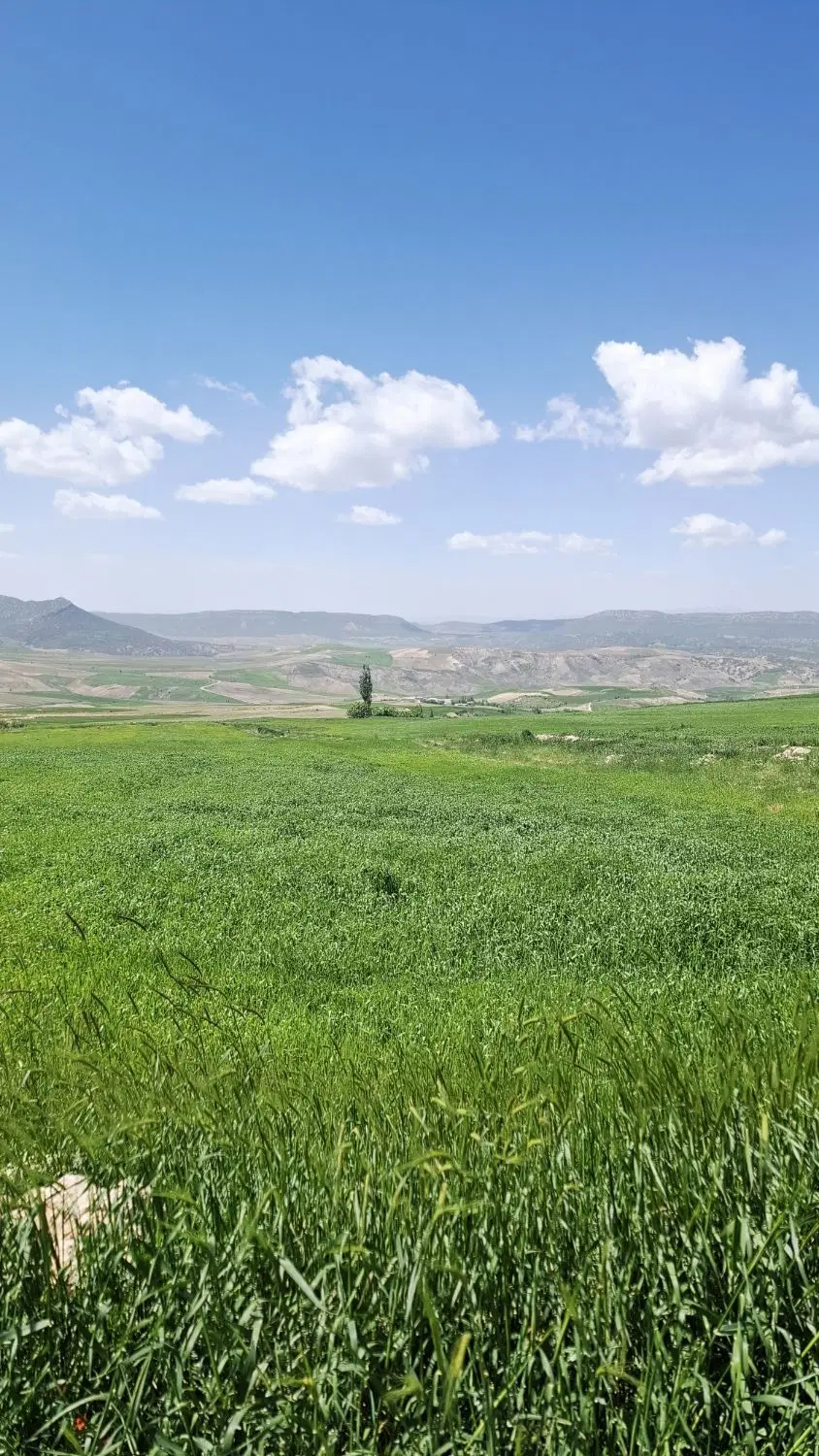 زمین کشاورزی
