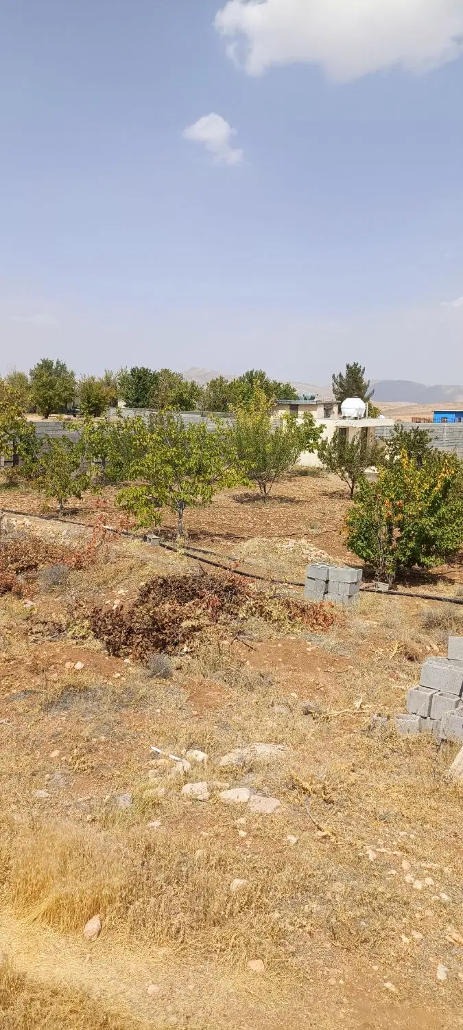 فروش باغچه در کودیان