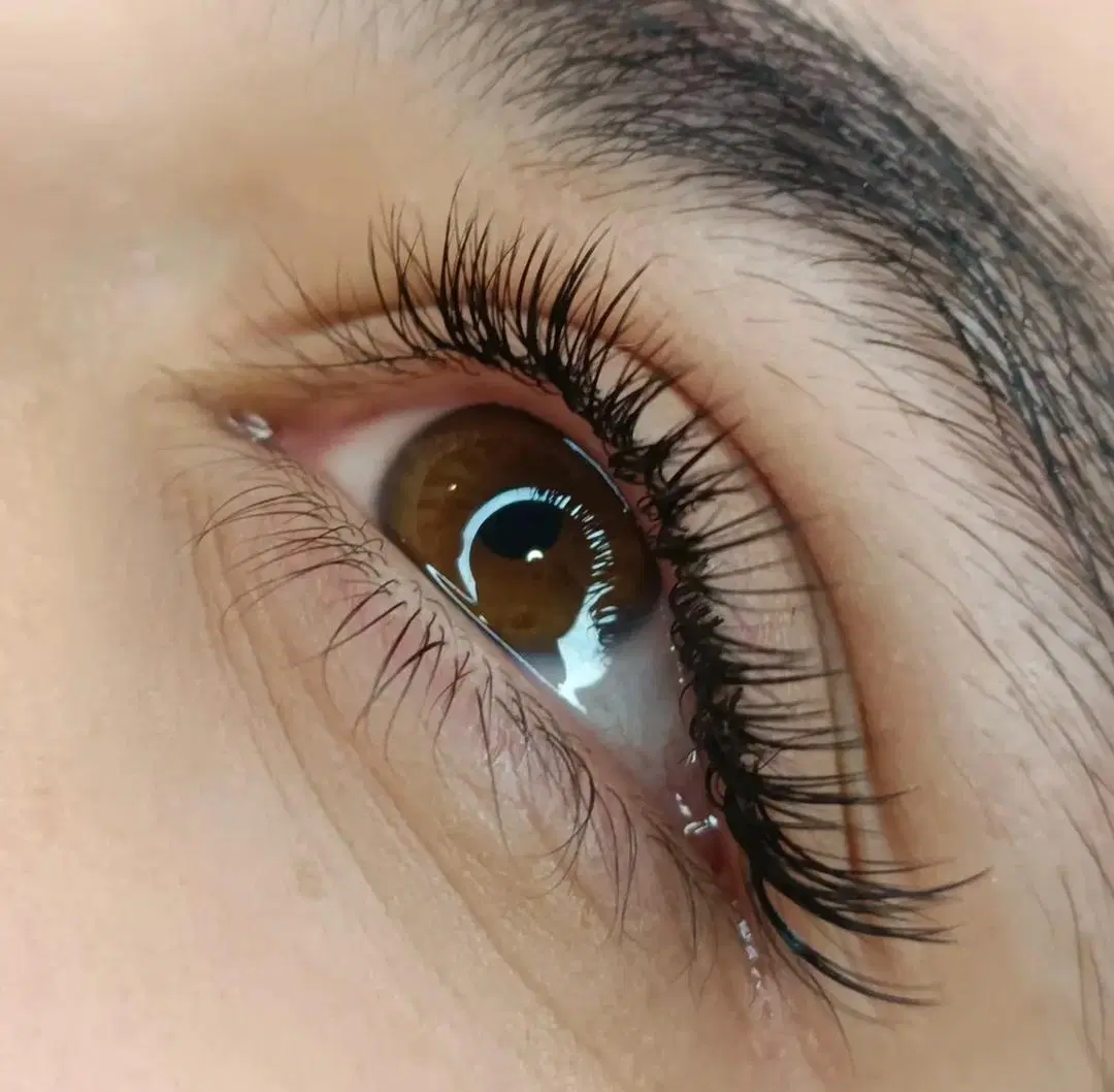 اجاره لاین ناخن، لاین مژه