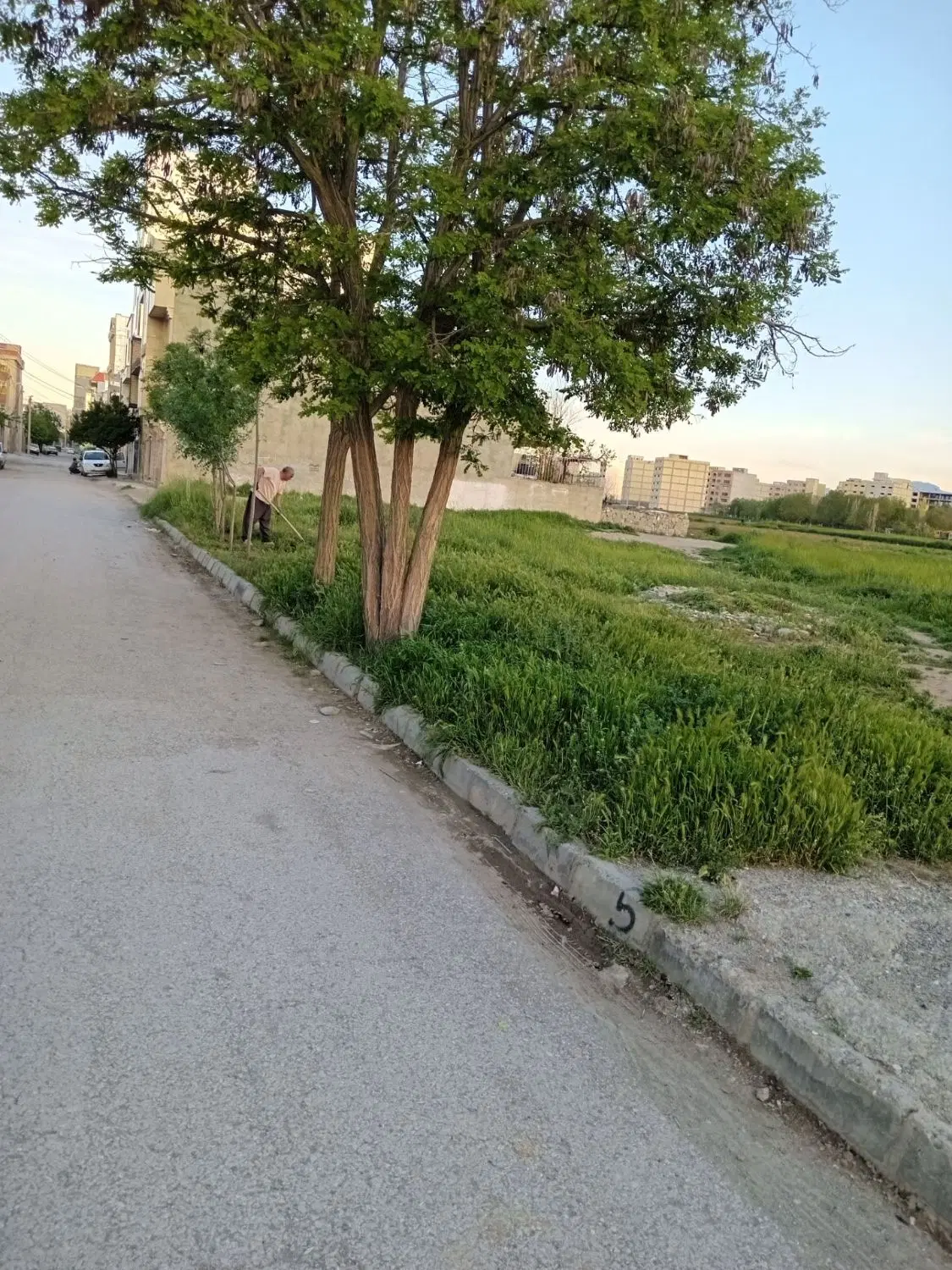 فروش زمین ،، قولنامه ای