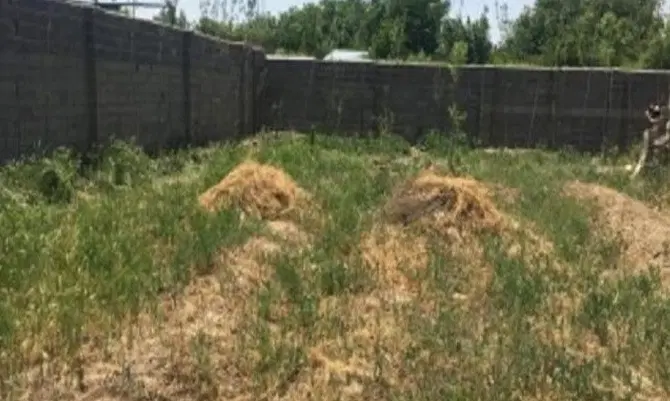 زمین در بهترین موقعیت جاده کلات روستای خرم اباد