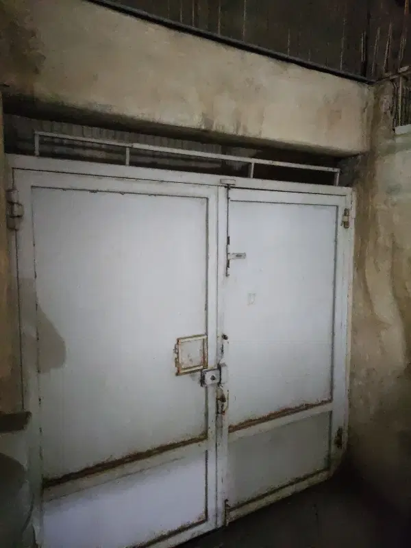 باغ ثمری