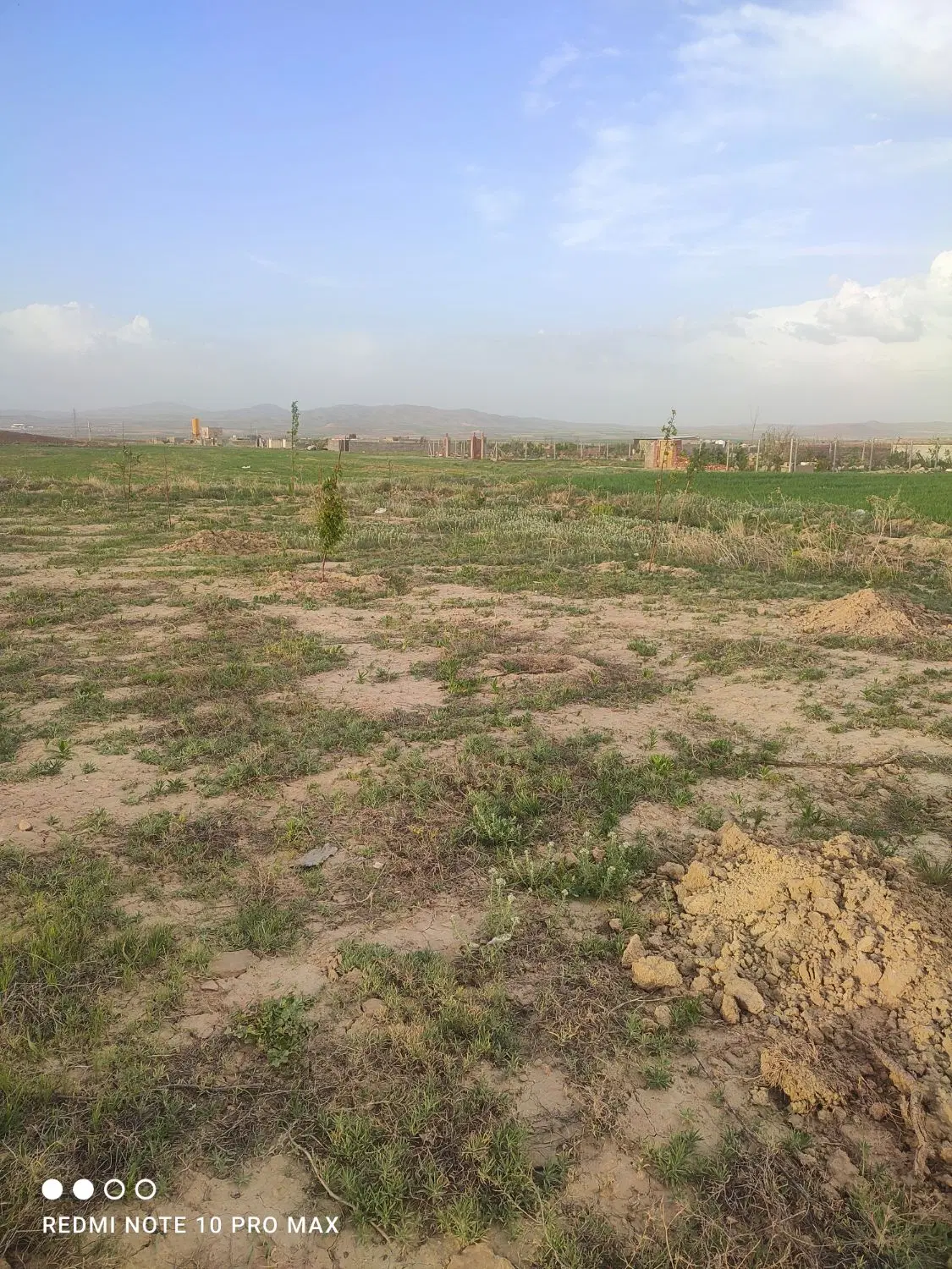 زمین باغی در شورین