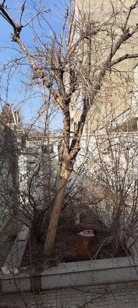 املاک