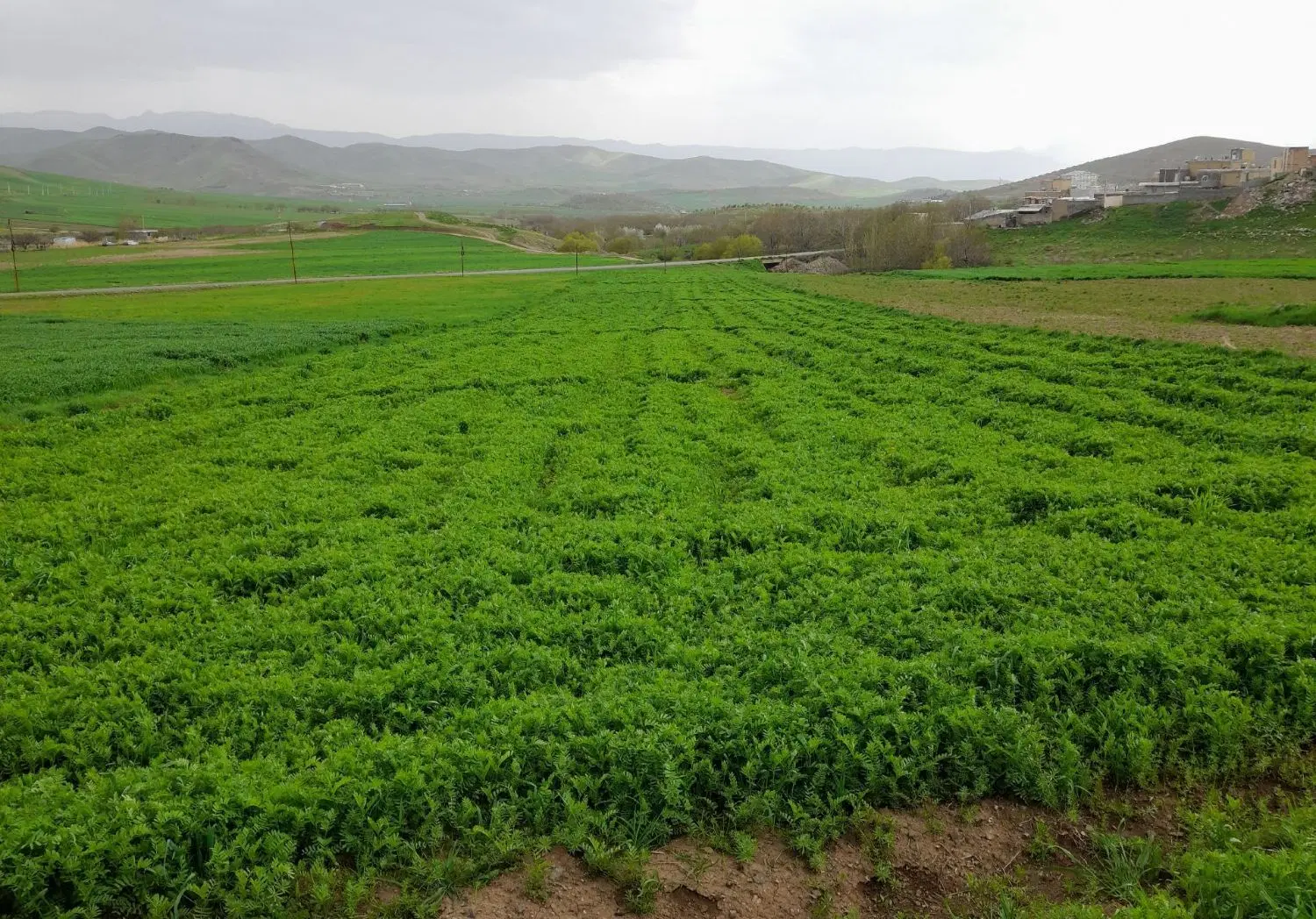 باغ وزمین زراعی