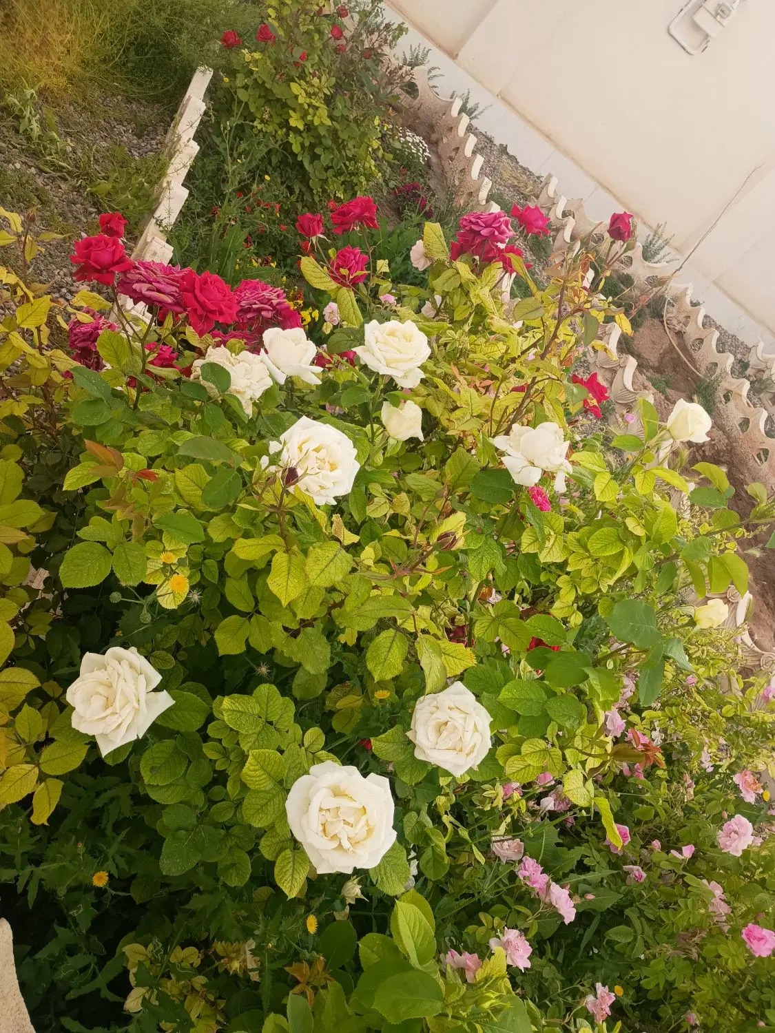 باغ ویلا
