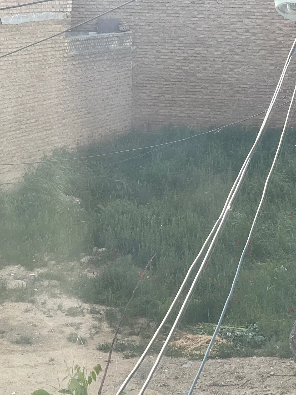 زمین ۲۵۰متری۱۰۰متر پایین پایینتر از مسجد حضرت حمزه