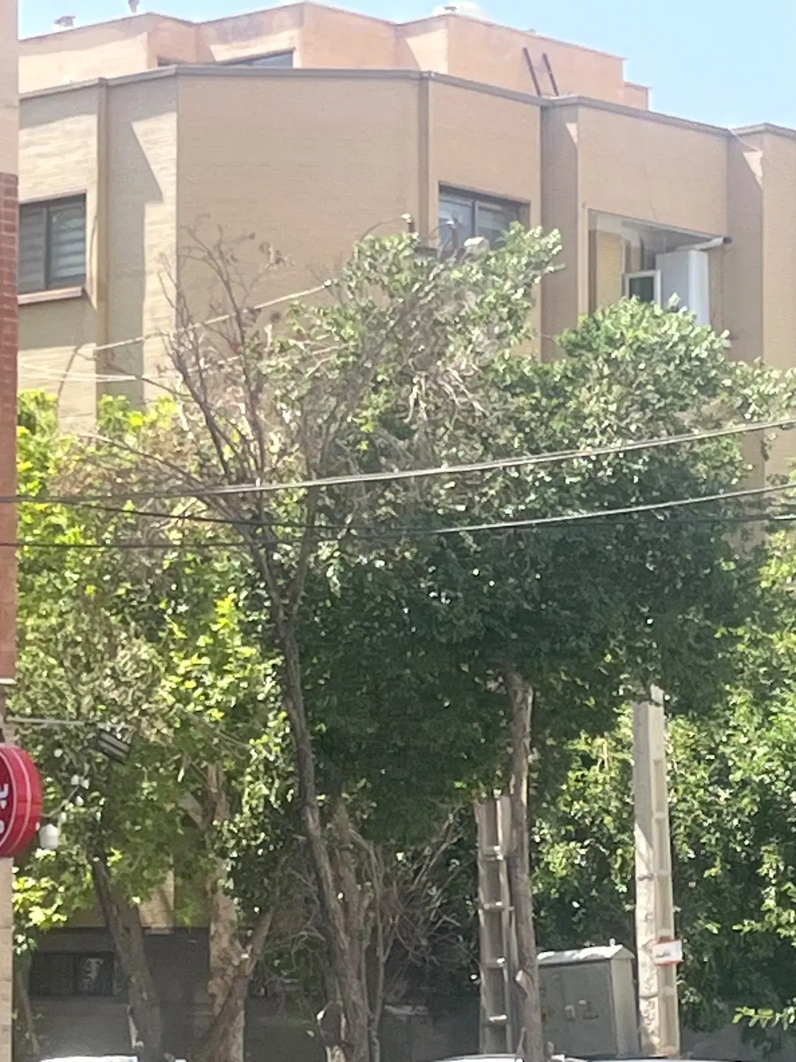 اجاره اپارتمان
