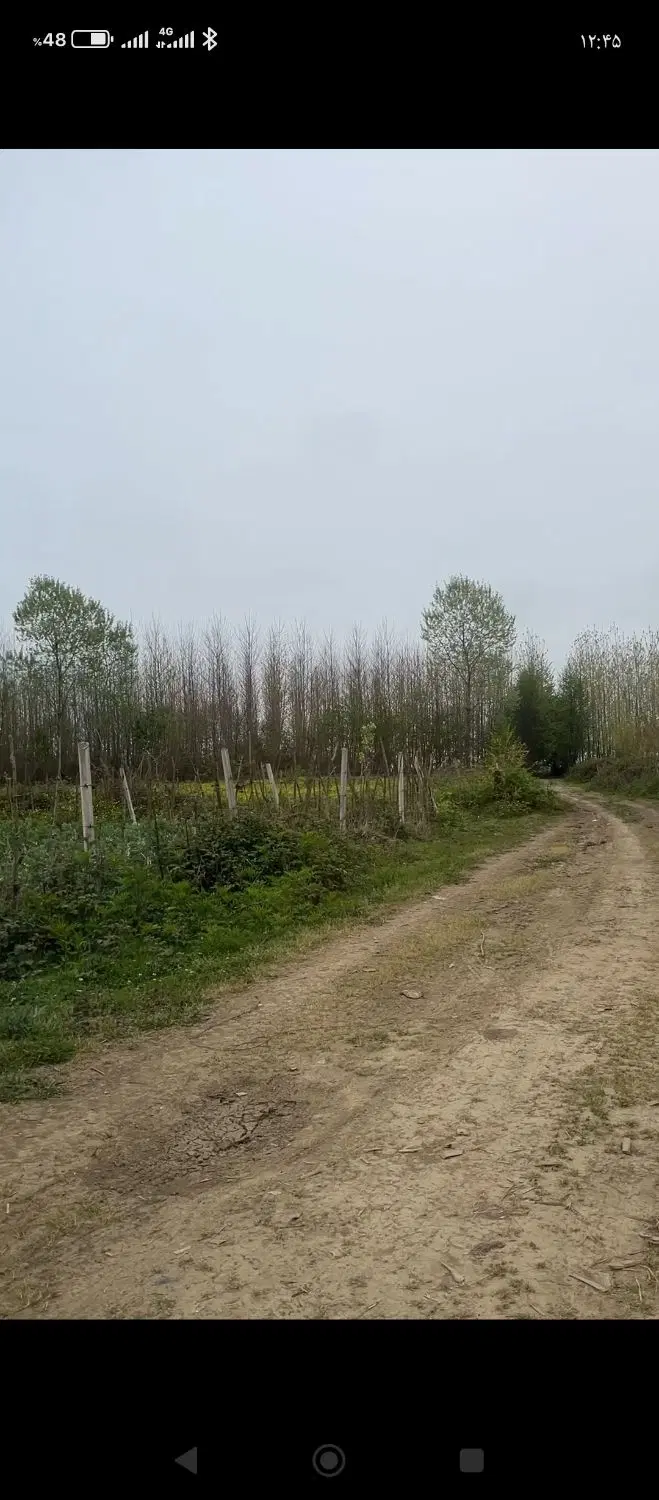 زمین باغی در گیلان شفارود نزدیک ساحل