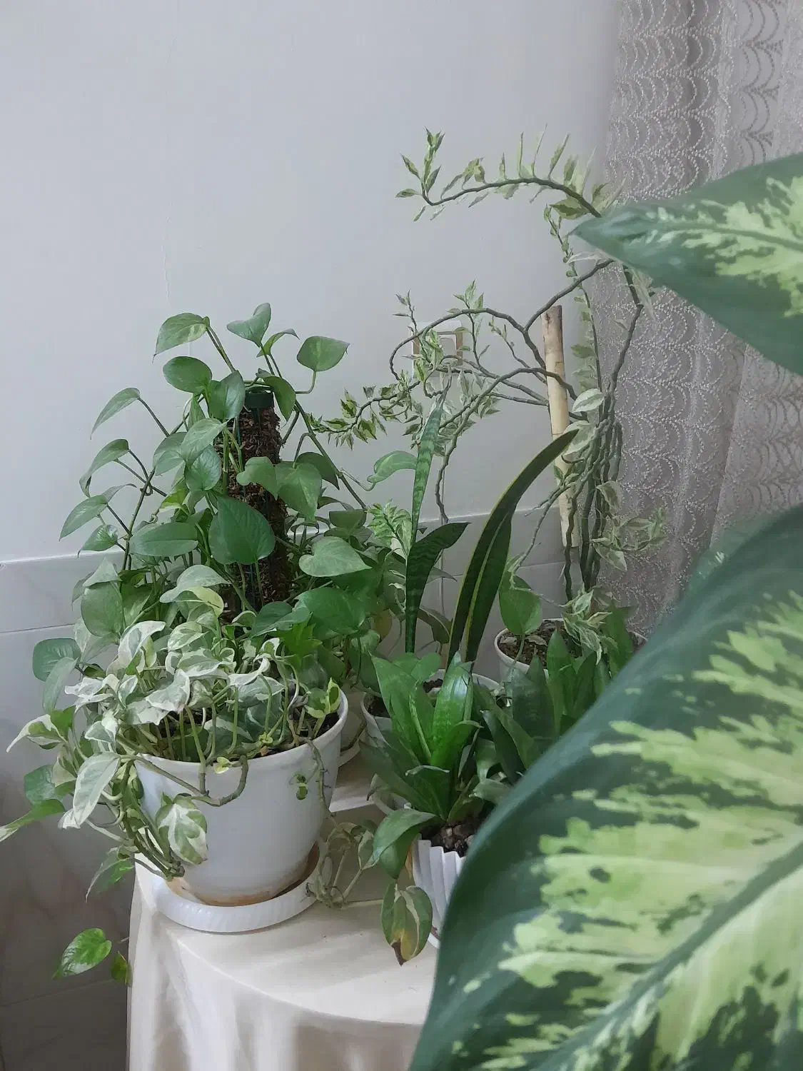 دوطبقه