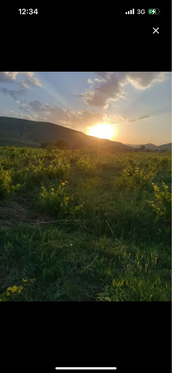باغ در نزدیکی امند