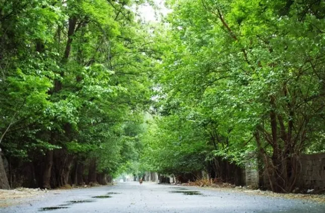 ۴۰۰ متر باغ چهار دیواری تهراندشت کردان