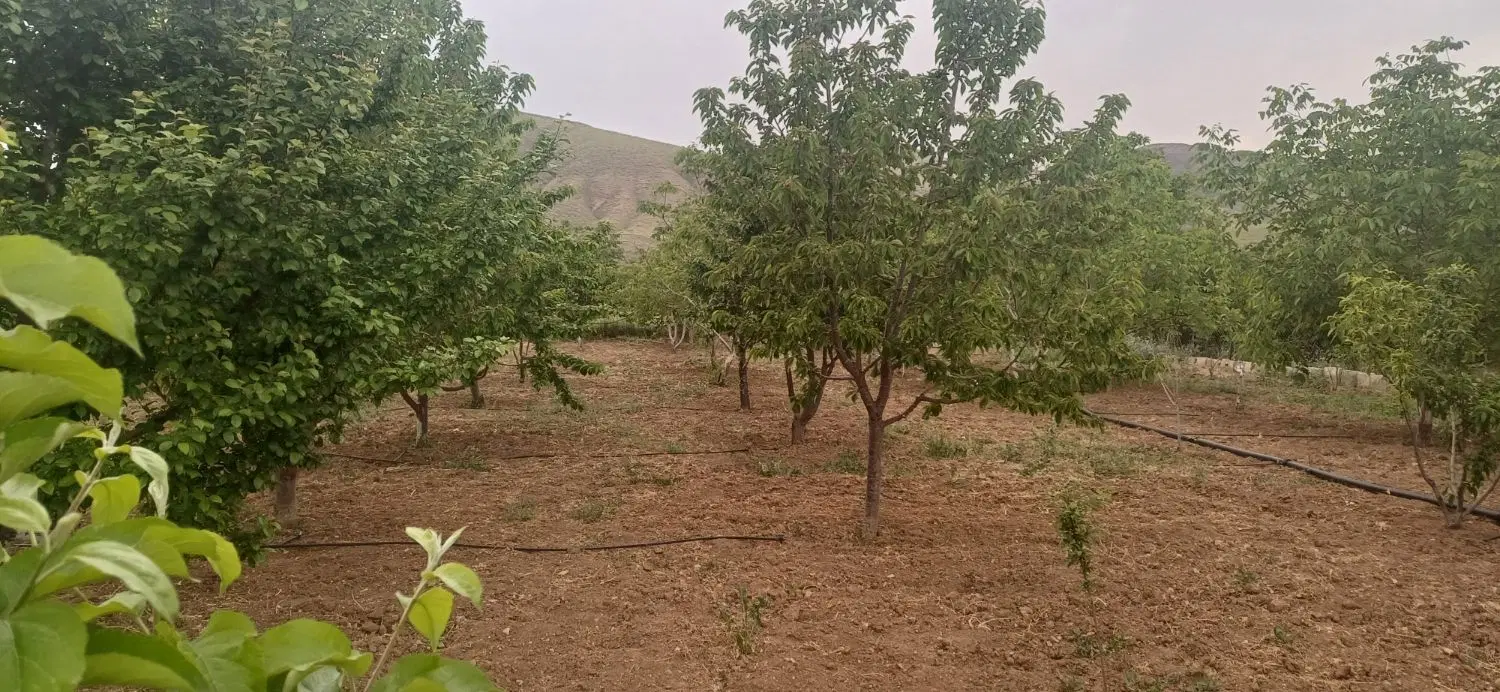 خانه باغ2550 متر سنددار