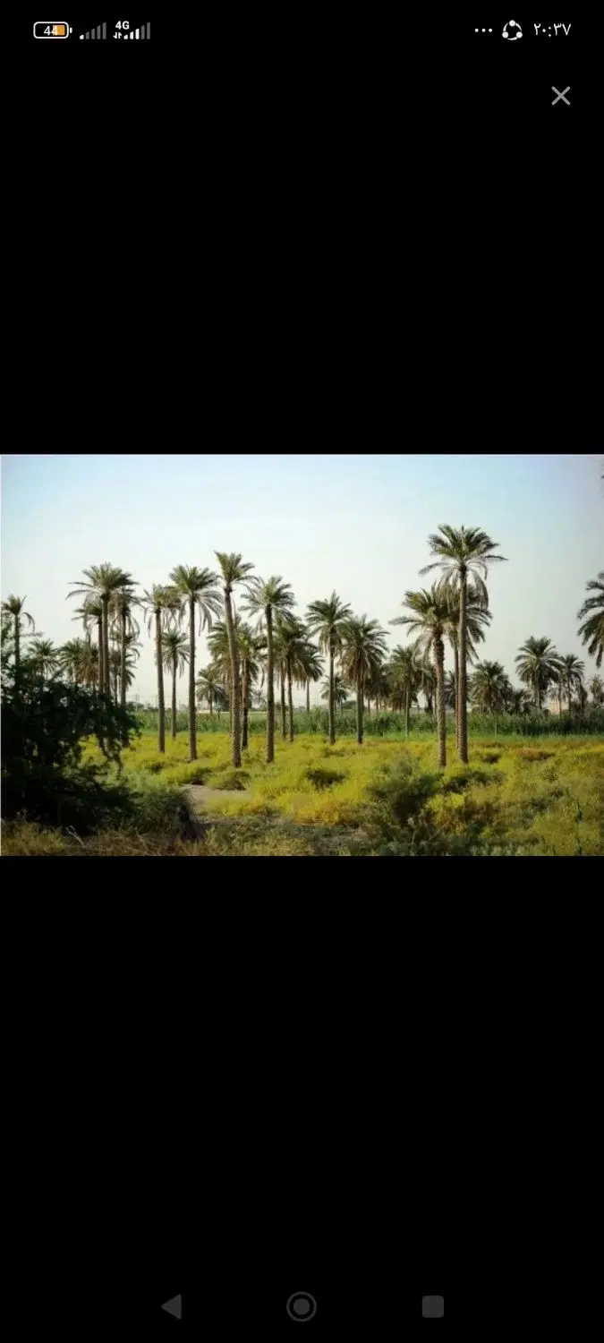 زمین جزیره مینو
