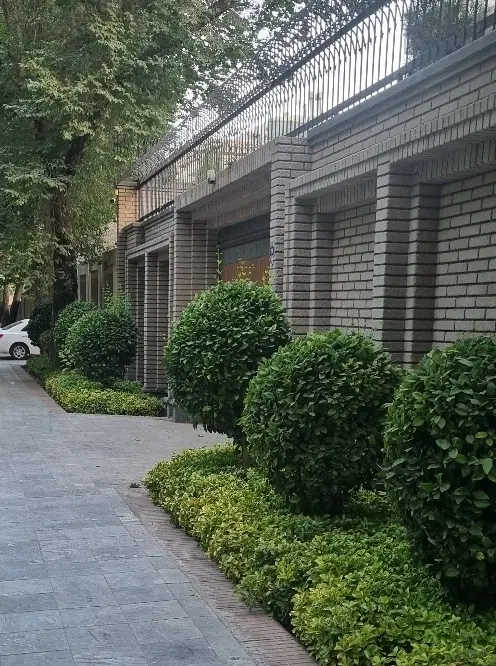 همکف نوساز ۲۰۰ متر ۳خوابه فجر منتظری شمالی