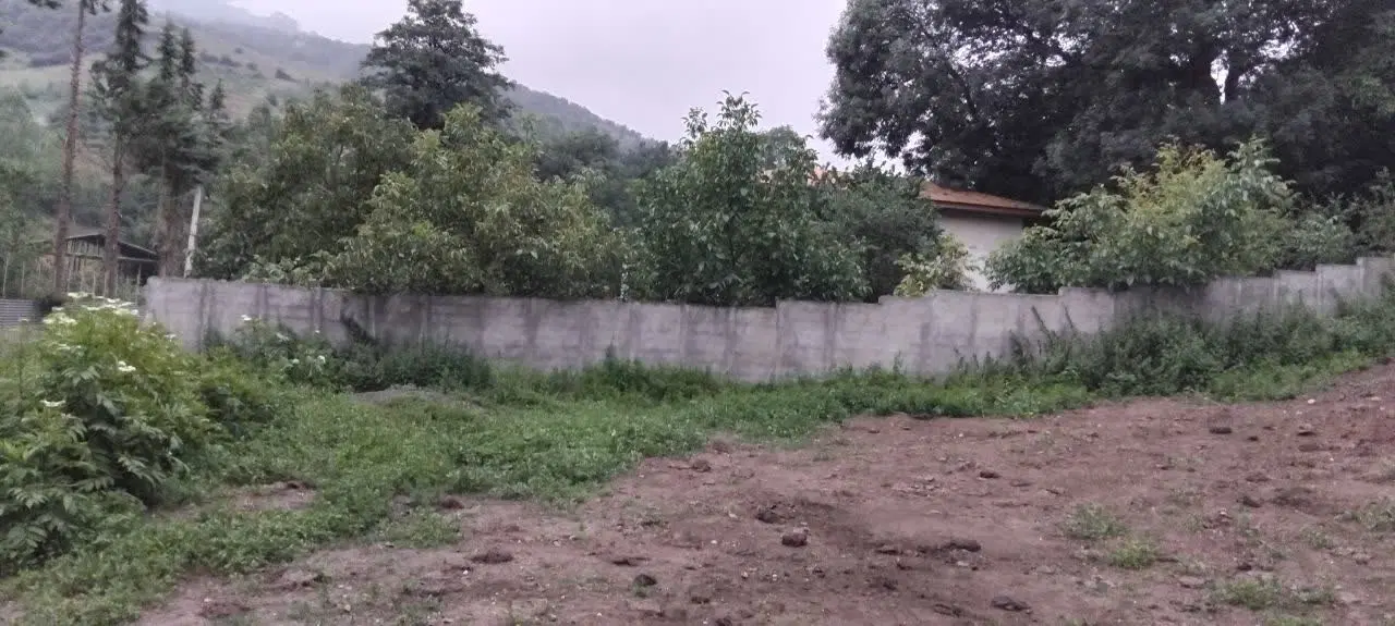 زمین در روستای سوادکوه