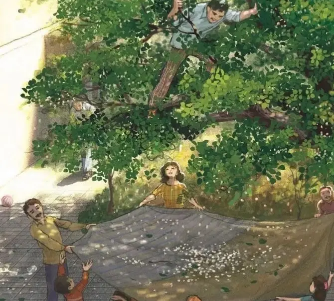 زمین زراعی دودونگه
