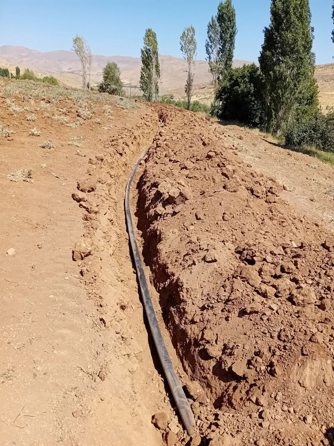 شریک یا اجاره مدرک مهندسی