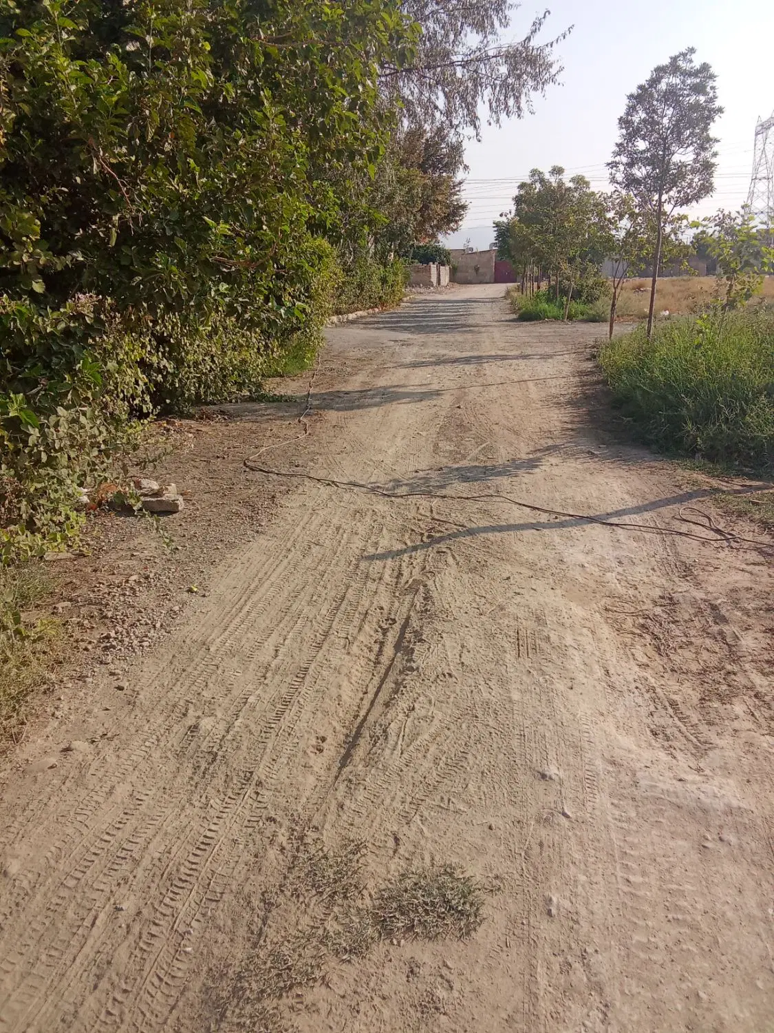 زمین باغچه