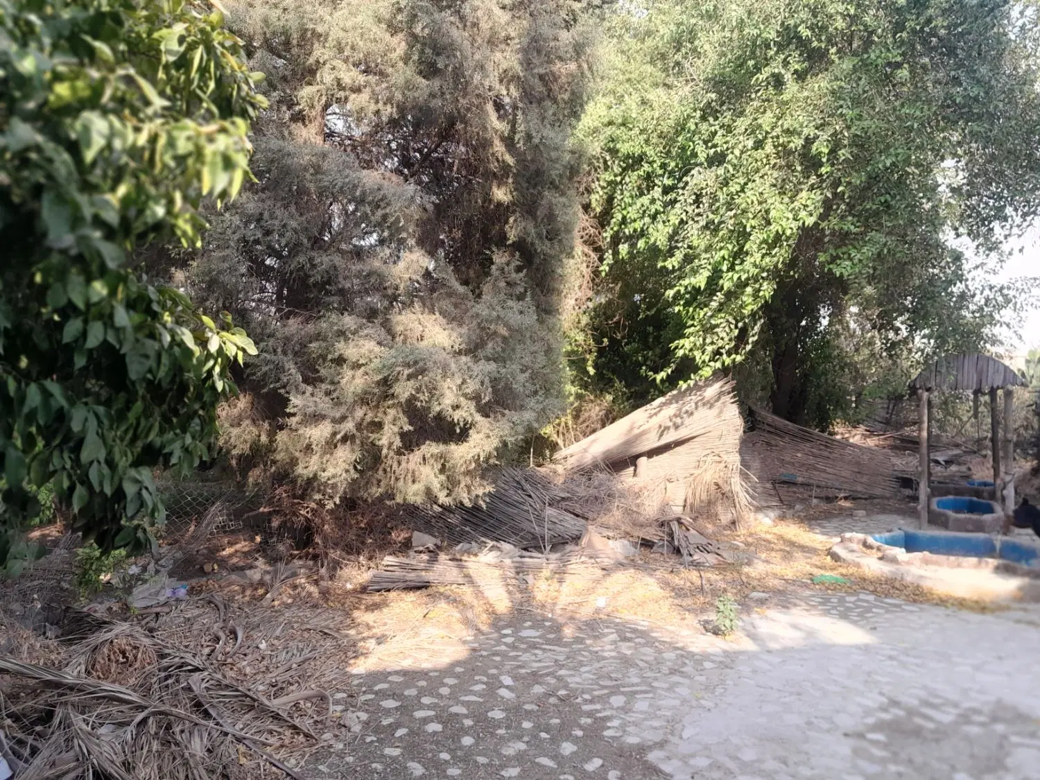 فروش باغچه کازرون