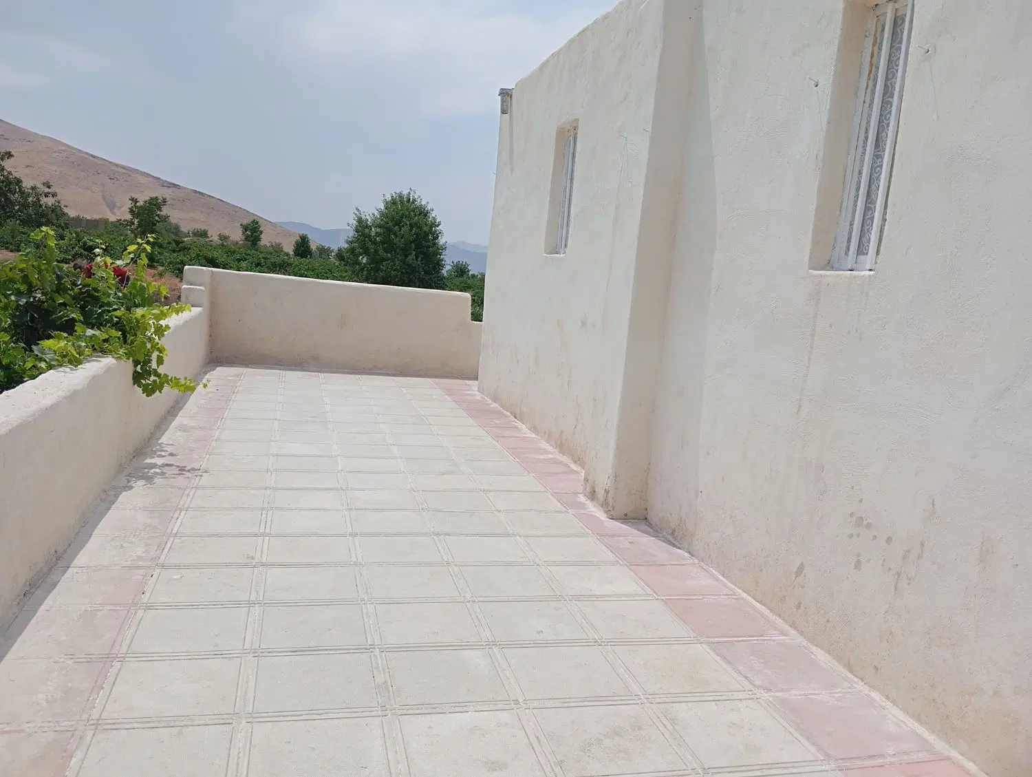 باغ انگوری 800متر