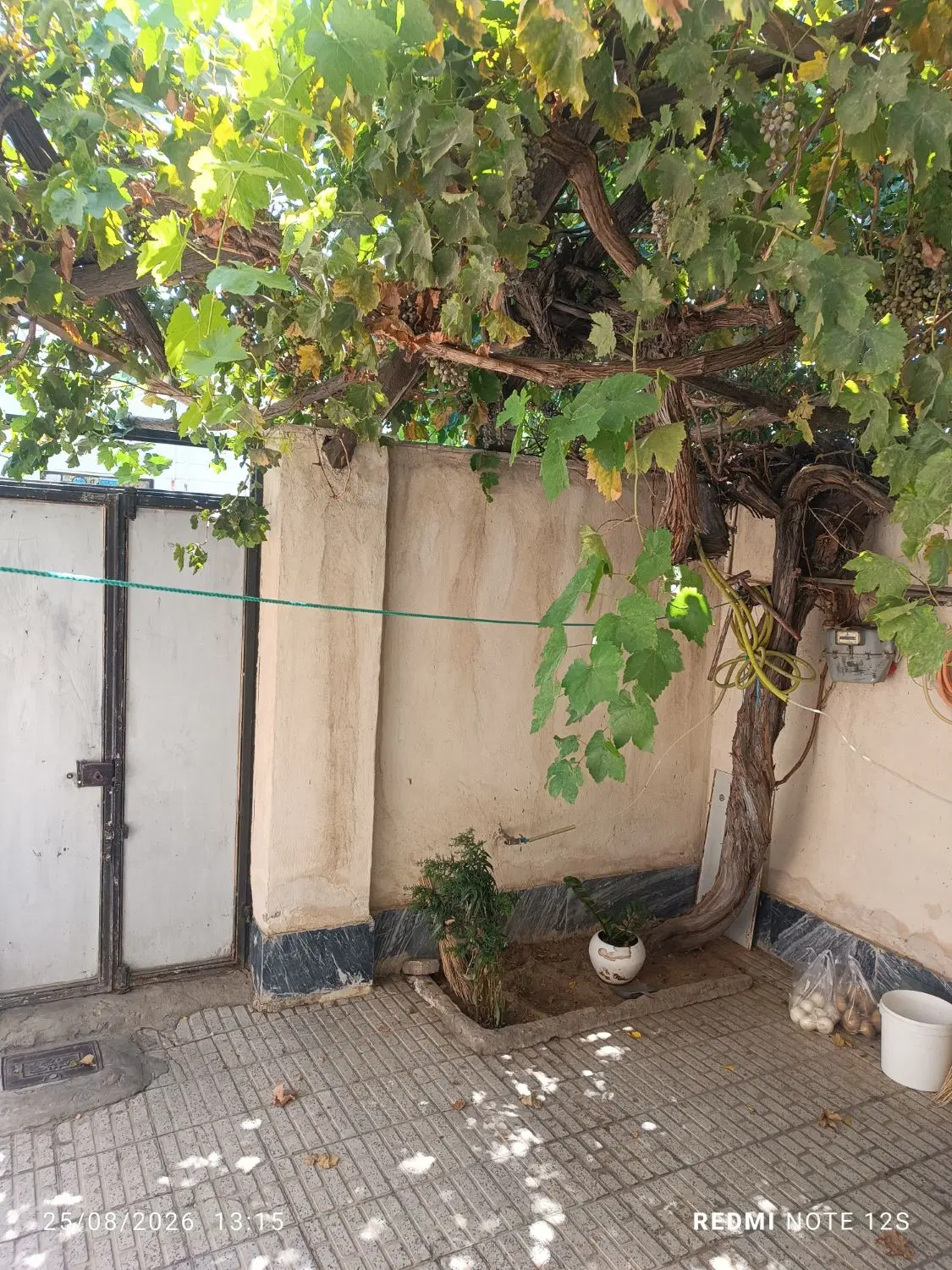 زمین حاجی آباد