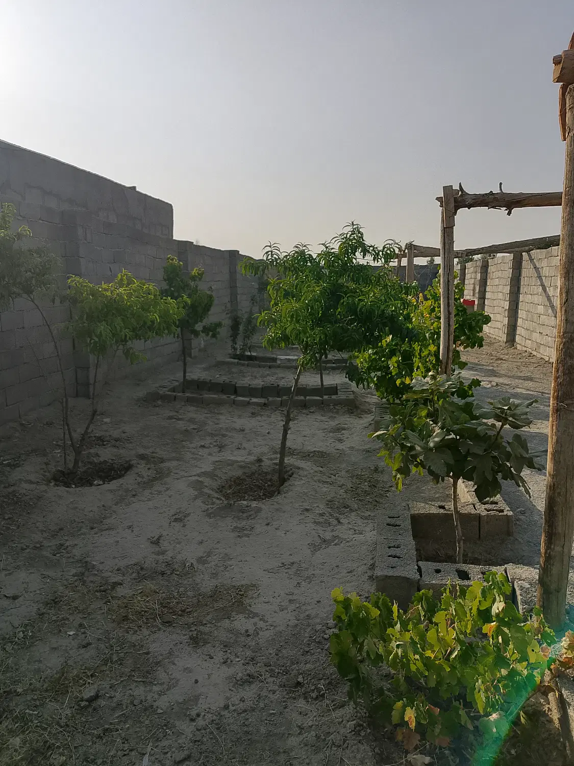 باغچه