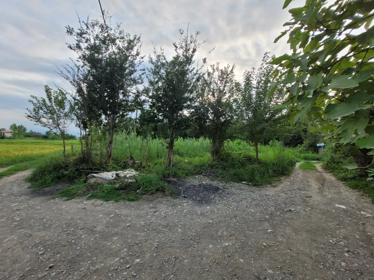 زمین مسکونی سند دار