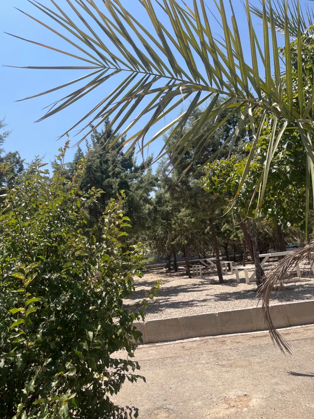 زمین مسکونی تجاری