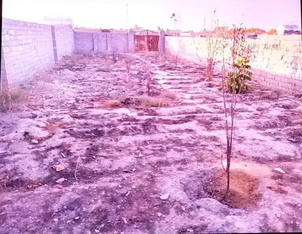 زمین باغی دور دیوار ابعاد فوق العاده