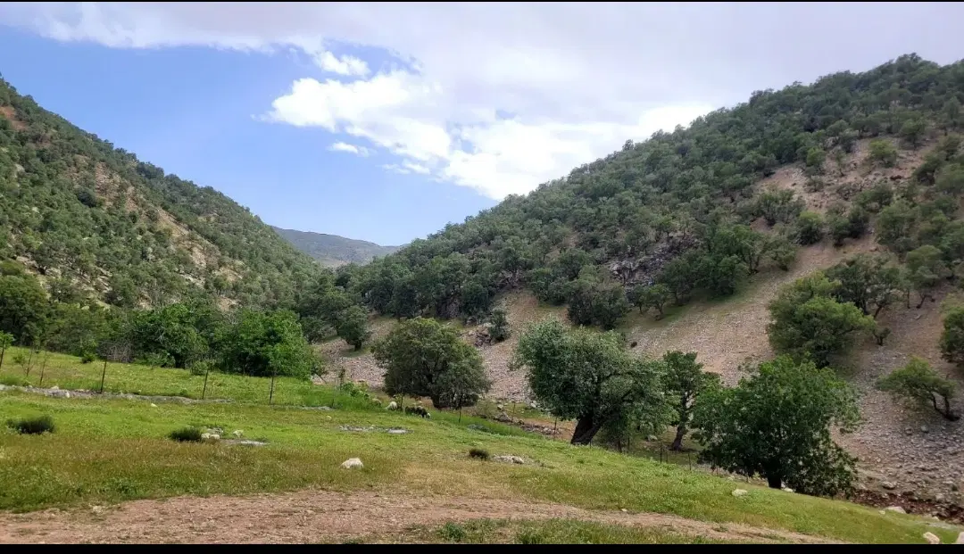 زمین مسکونی