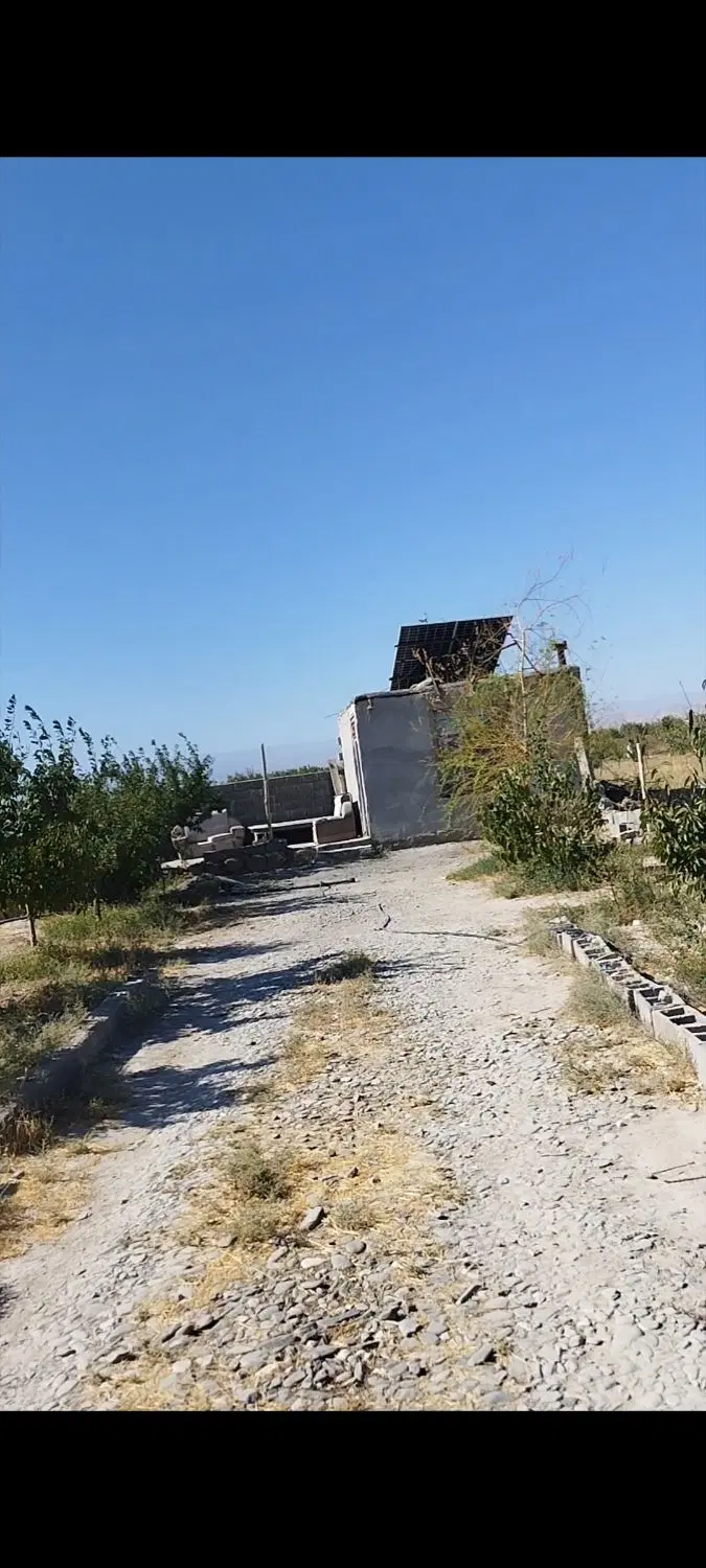 زمین حیطه طلا