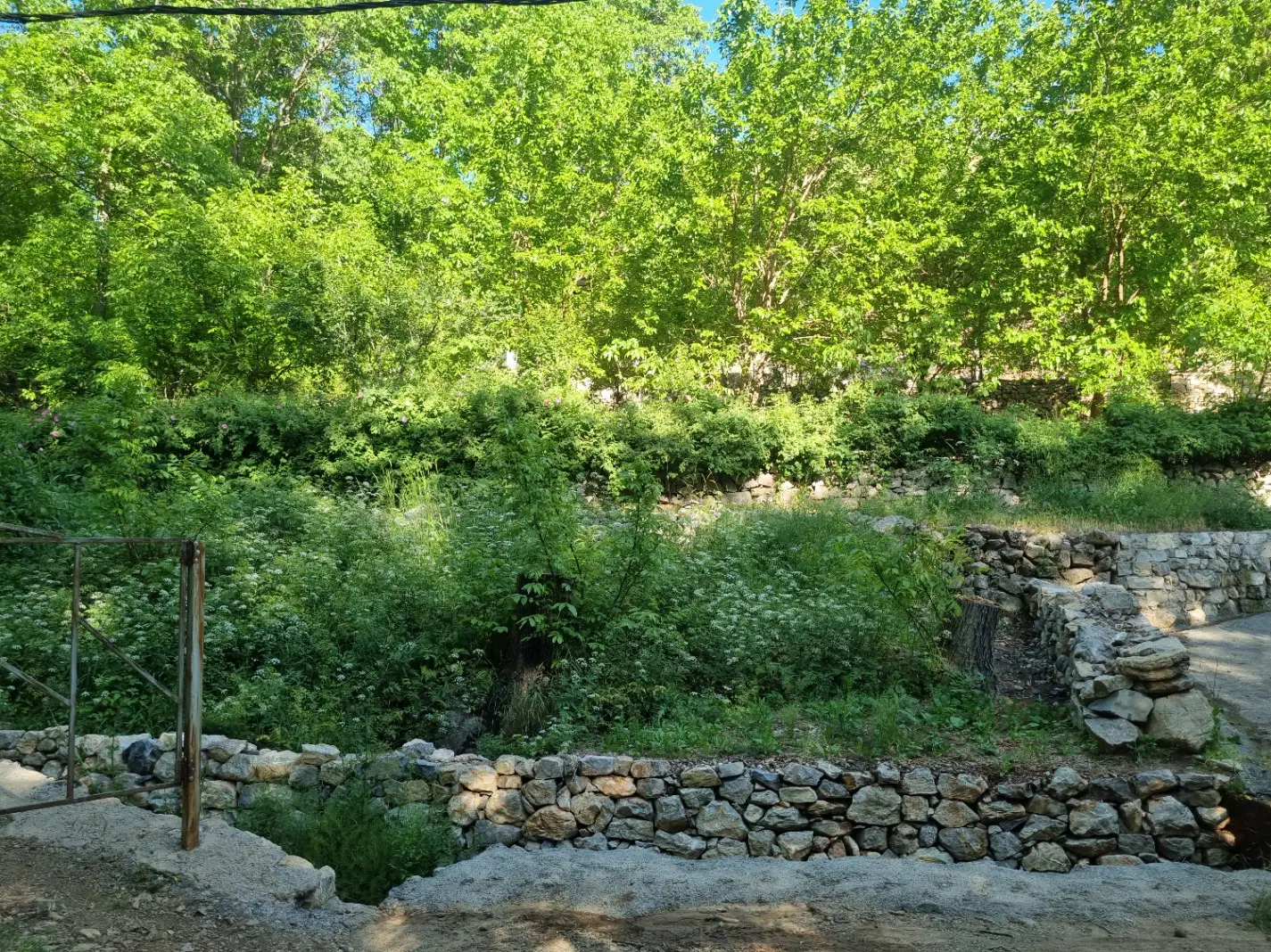 فروش زمین علیزاده