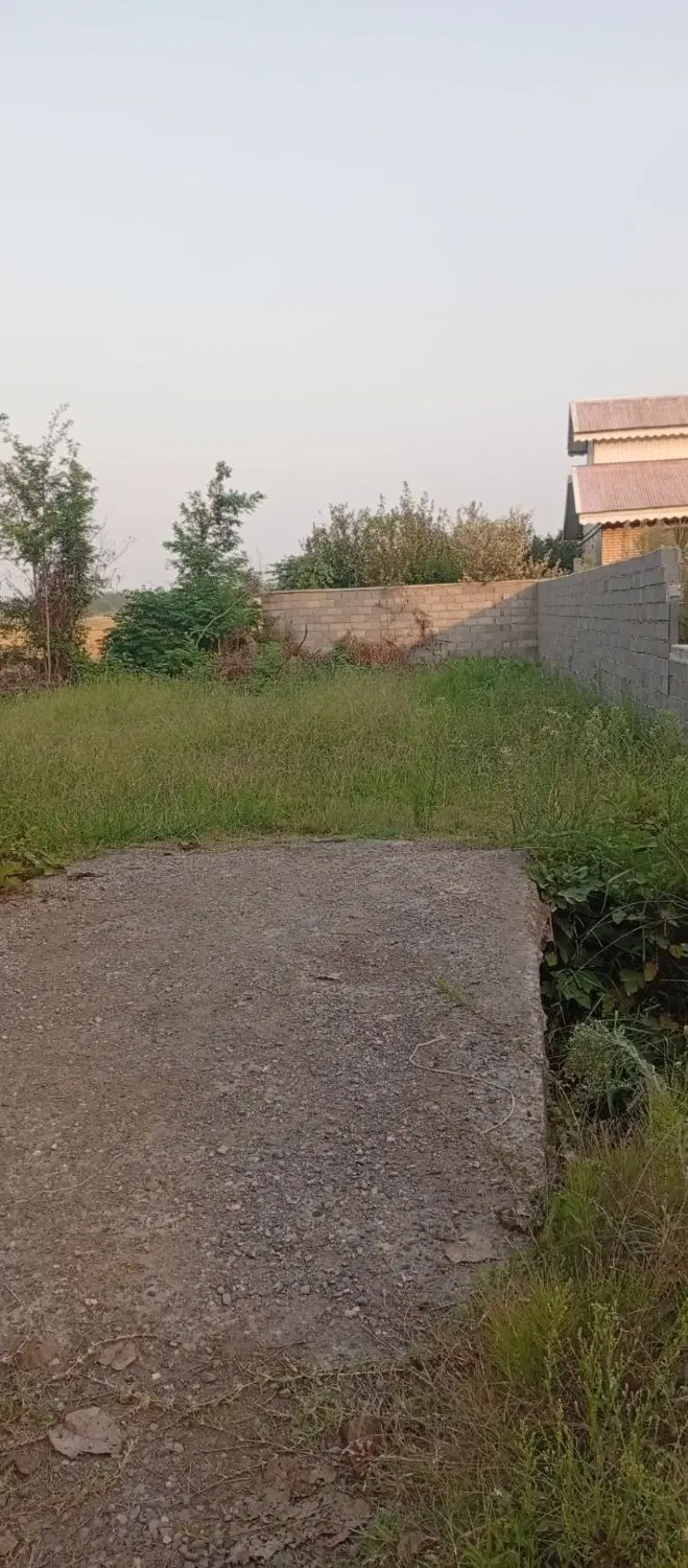 یک قطعه زمین باغی