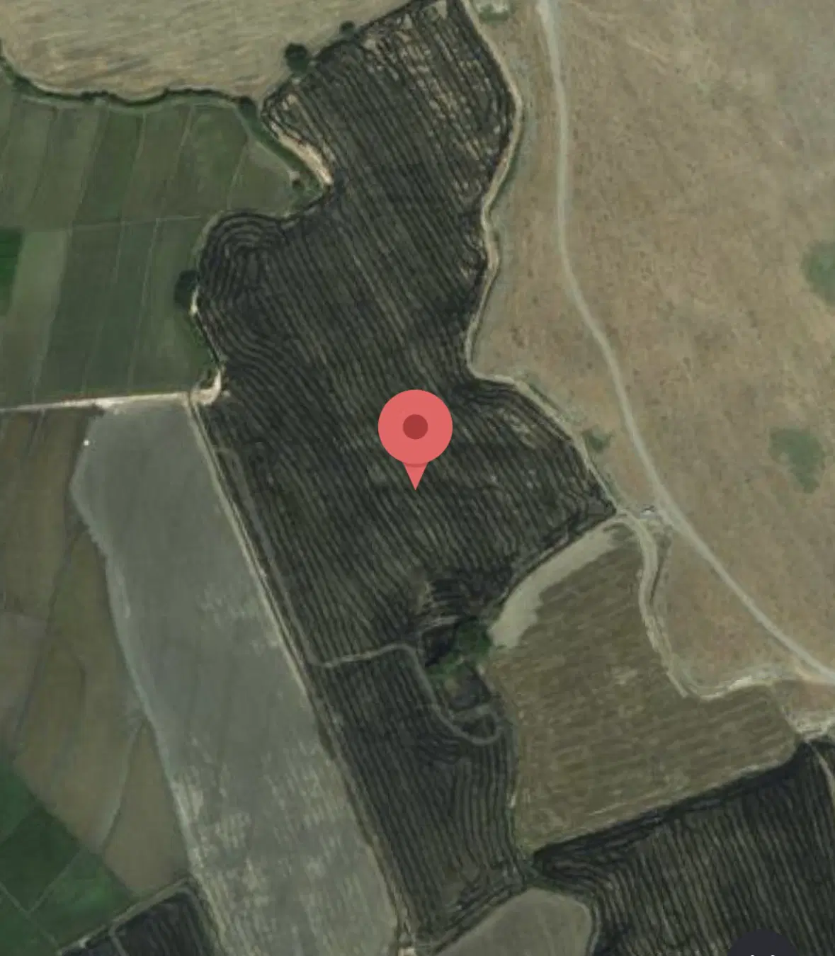 زمین کشاورزی بهمراه دو حلقه چاه (روستای قلی آباد)