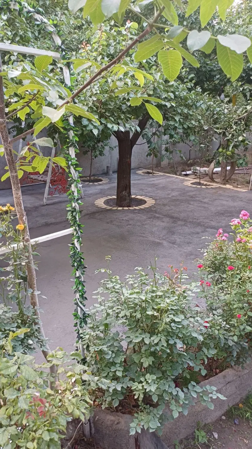 زمین باغی آبشینه