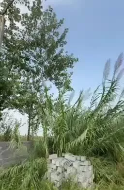 ۲۰۲ متر زمین داخل شهرک__سند دار__نزدیک دریا