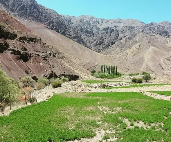 خانه کنگی کوهپایه معاوضه و فروش