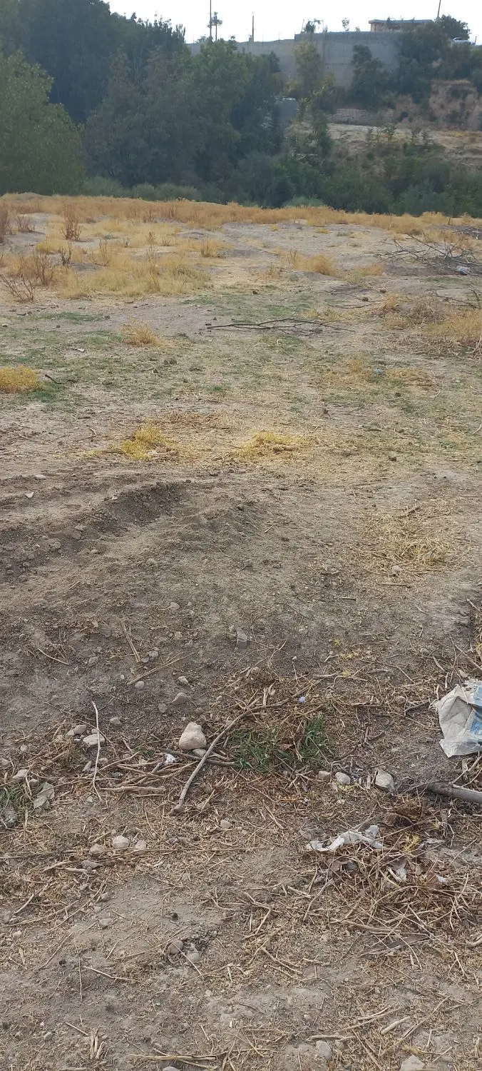زمین جهت خانه باغ و مسکونی در چالسرا