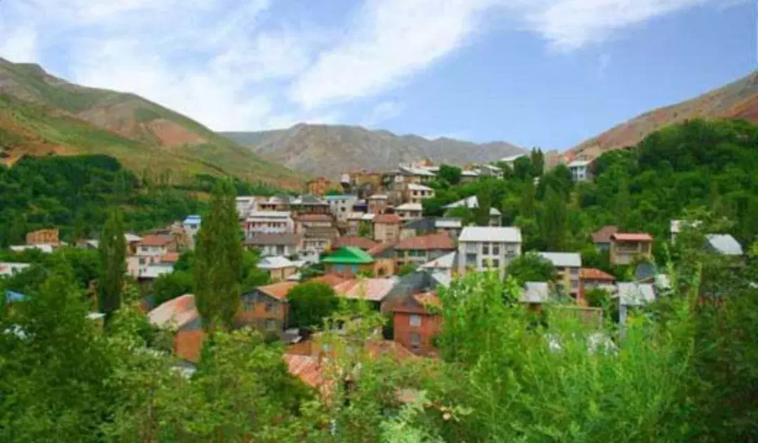 ۳۱۱ متر مشارکت_ویو جنگل لاهیجان