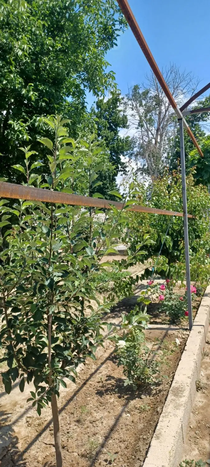 باغ ویلایی فردیس خوشنام