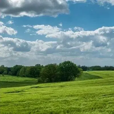 فروش زمین خان زنیان