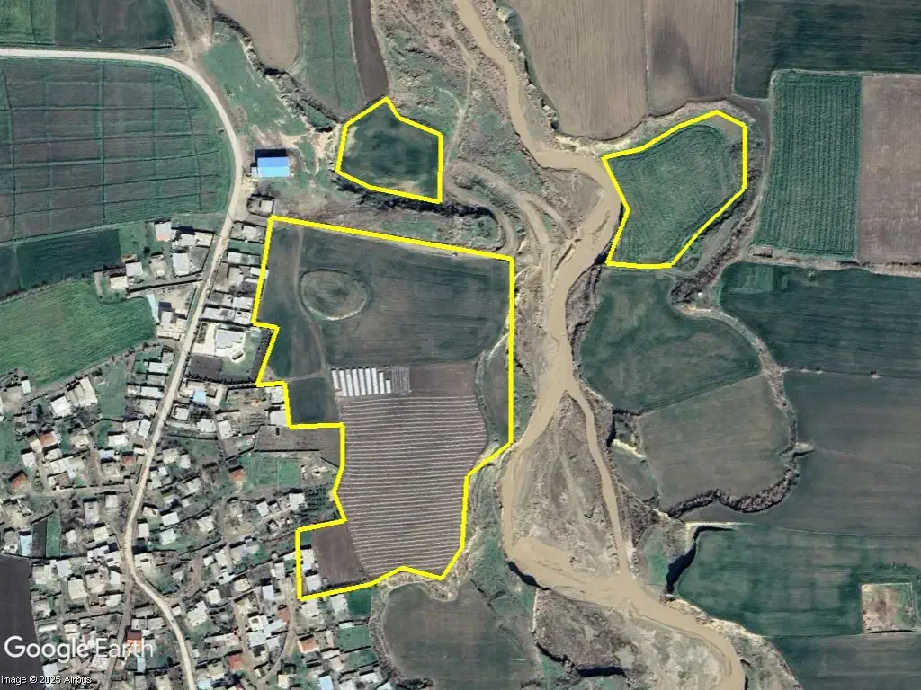 حدود ۷ هکتار کشاورزی پشمک